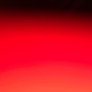 Meet your Posher, Rae